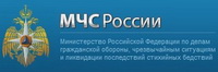 Министерство Российской Федерации по делам гражданской обороны, чрезвычайным ситуациям и ликвидации последствий стихийных бедствий (МЧС России) Министерство Российской Федерации по делам гражданской обороны, чрезвычайным ситуациям и ликвидации последствий стихийных бедствий (МЧС России)